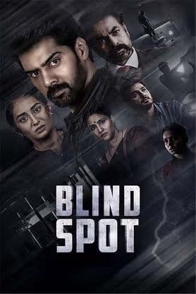 Blind Spot 2025 Hindi Dubbed Movie ORG 720p WEB-DL 1Click Download